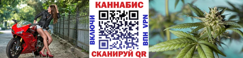 Канабис семена мега сайт Новосибирск